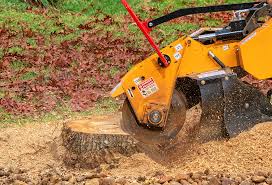 Best Emergency Tree Removal  in Washington Heights, NY